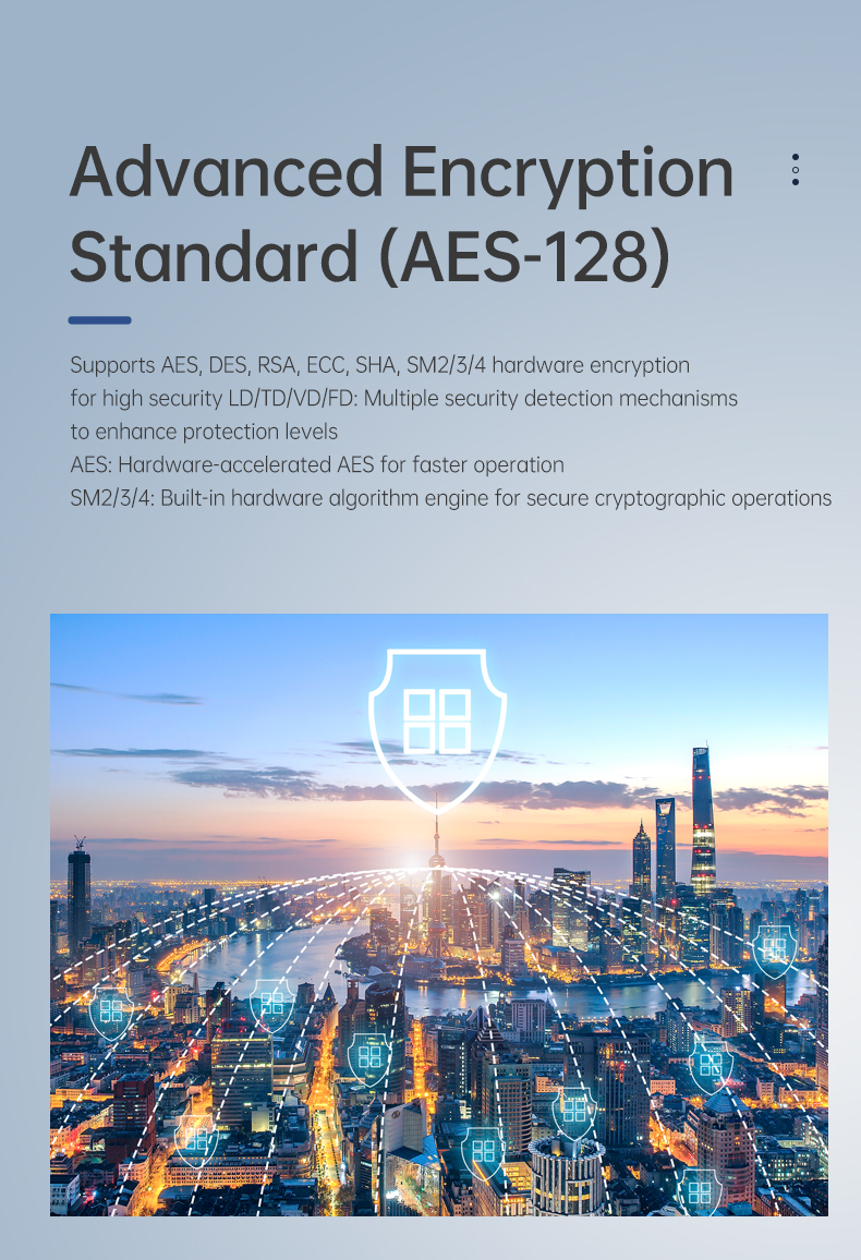 DL-A6601-B-LoRa模块详情页二_01